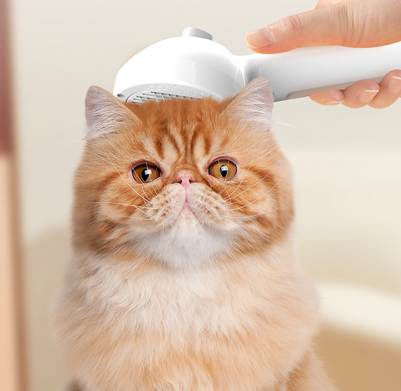 Vit pälsborste med dimspray för katt