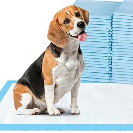 Effektiva Tisseputer för Hunder – Rent Hem, Enkel Hundetrening