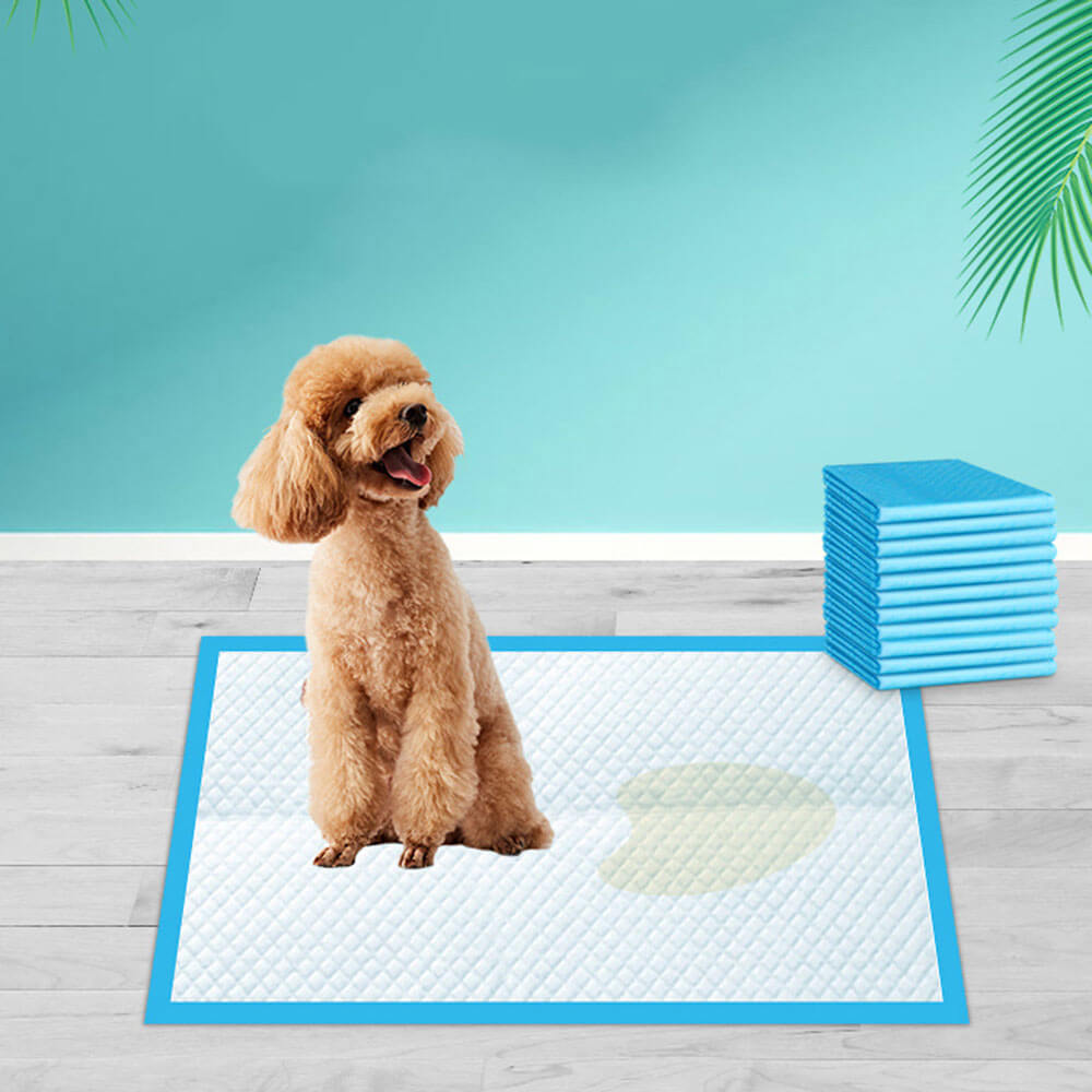 Effektiva Tisseputer för Hunder – Rent Hem, Enkel Hundetrening
