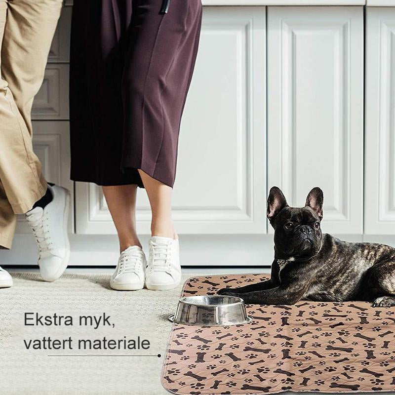 Vaskbare tisseputer till kjäledyr - Absorberende och Skli-säker