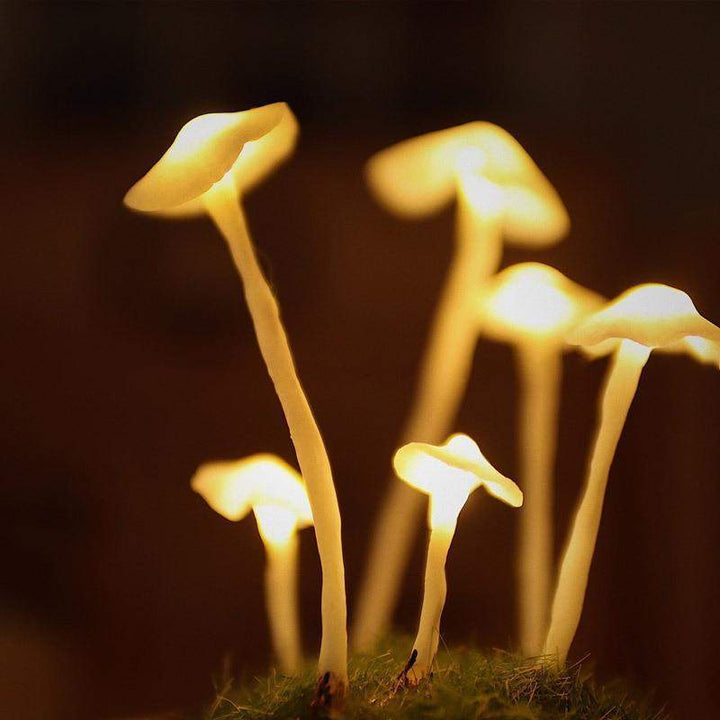 Kreativ DIY Sopplampe för Ditt hem
