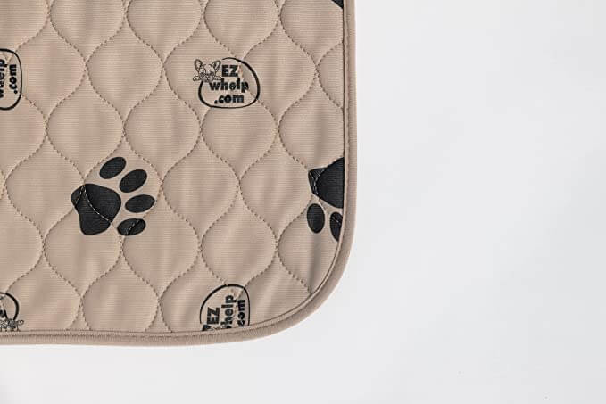 Gjenbrukbar Tissepute för Hund och Katt - Håller Hemmet Rent och Friskt