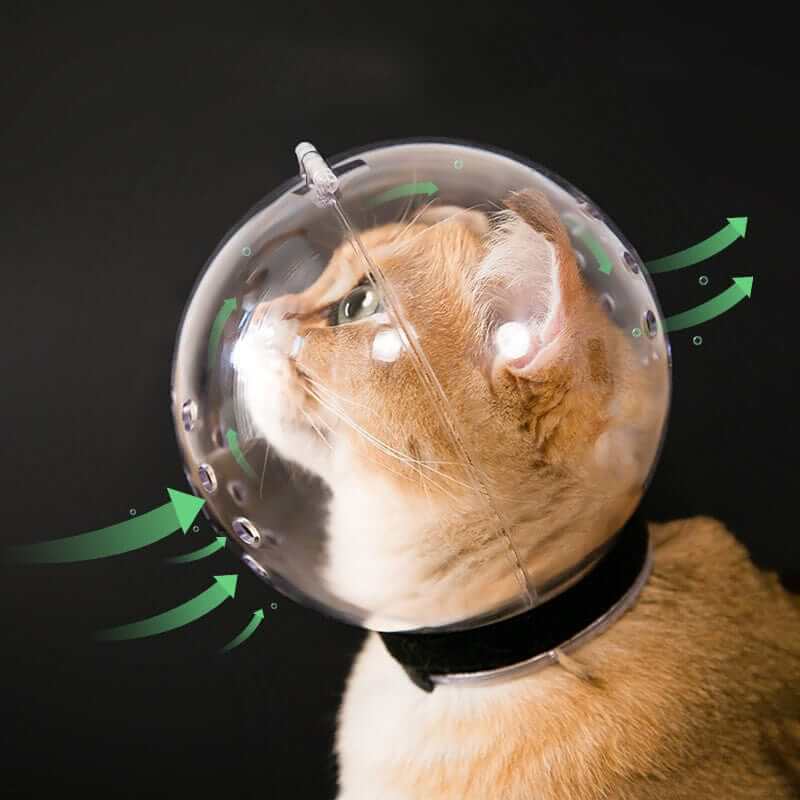 Trygg Pleiehjelm för Katt – Unngå Bitt Under Stell