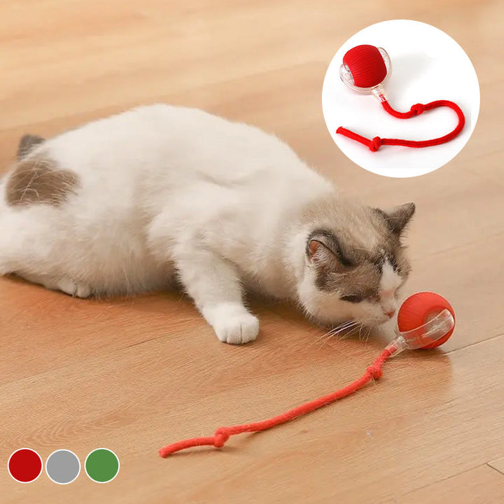 Smart interaktiv lekeball för katter - Grå, Röd, Grön