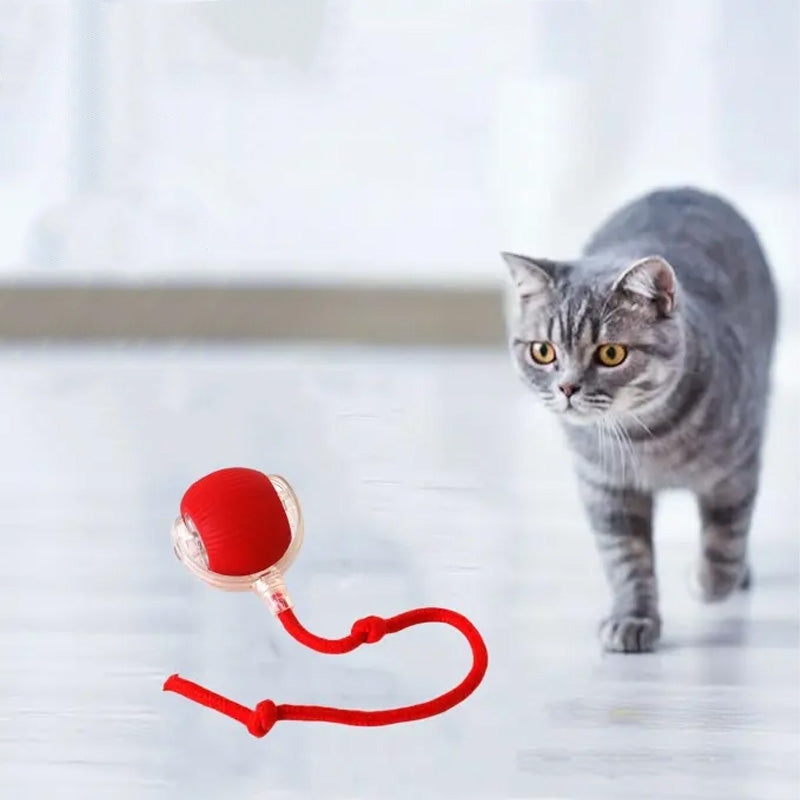 Smart interaktiv lekeball för katter - Grå, Röd, Grön