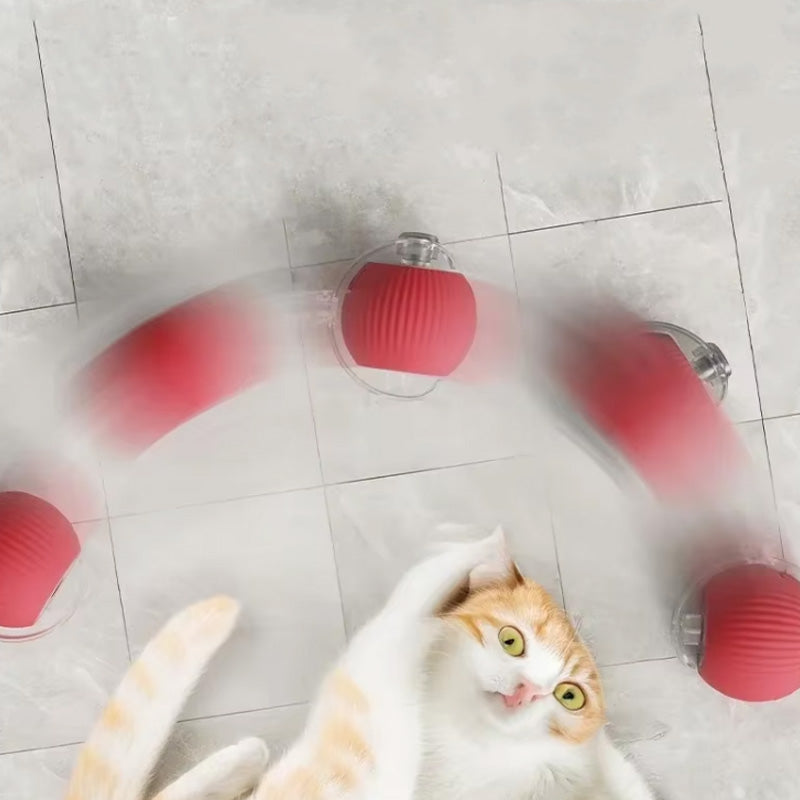 Smart interaktiv lekeball för katter - Grå, Röd, Grön