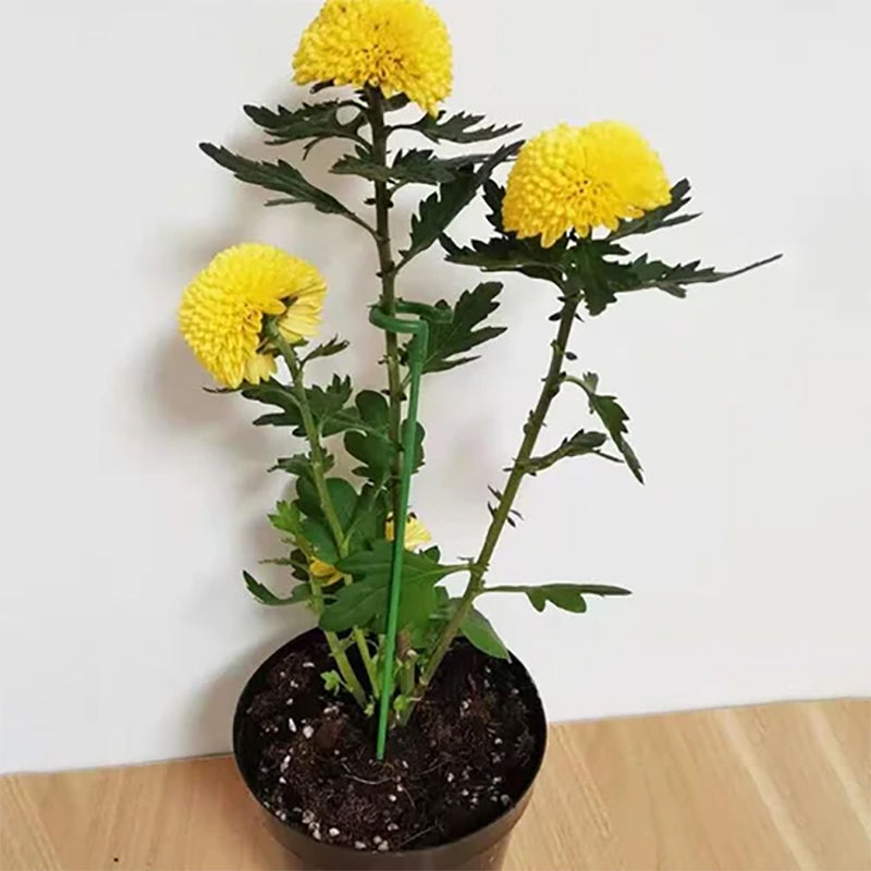 PlanteStötte - Solid och Diskret Blomstötte | Hageinnsats