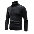 Herr Turtleneck Tröja i Klassisk Stil