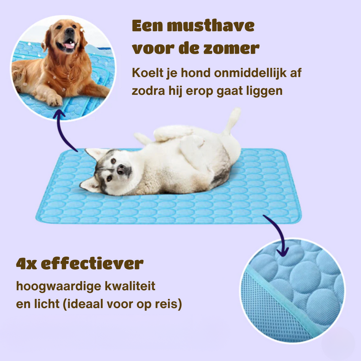 Hundens Kjölematte med Innovativ Kjöling för Värme Dagar