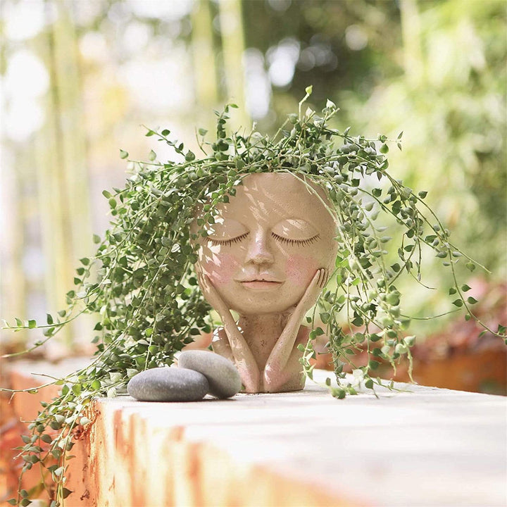 Ansiktsblomsterpotte för Inomhus Användning