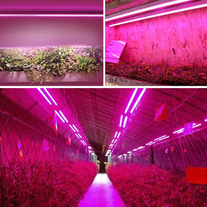 Inomhus LED-Plantelampe Fullspektrum för Optimal Vekst