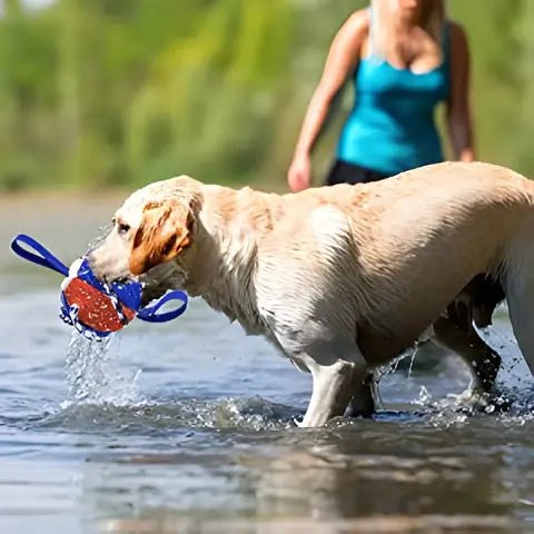 Interaktiv Frisbee Ball Hundeleke – Engasjerende Lek för Din Pelsvenn
