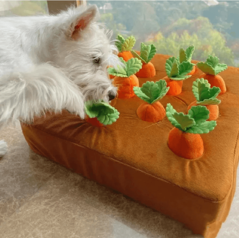 Interaktiv Hunde Gulrot Leksak för Mental Stimulering