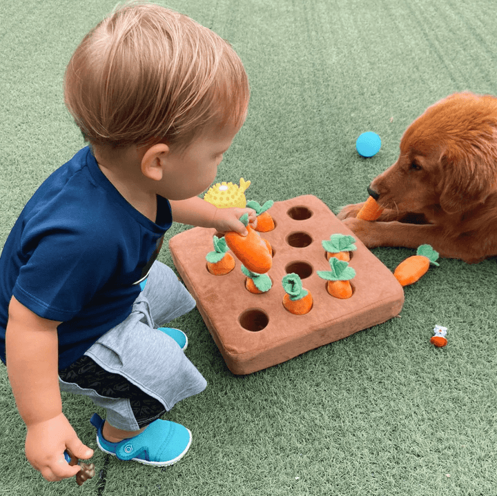 Interaktiv Hunde Gulrot Leksak för Mental Stimulering