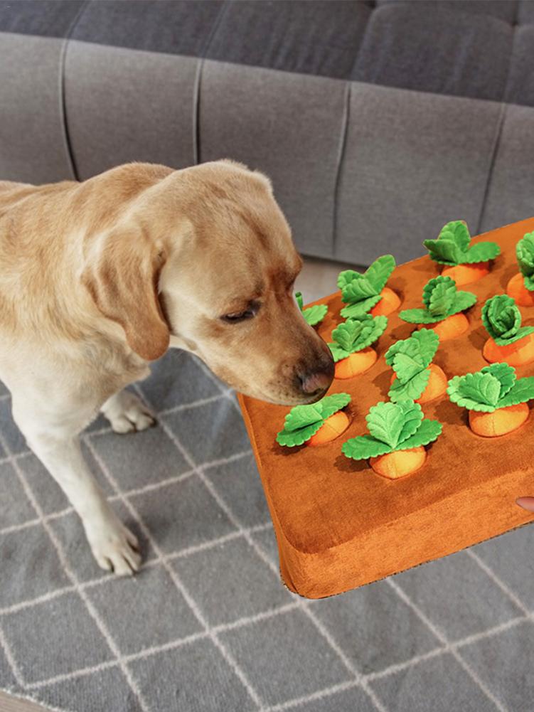 Interaktiv Hunde Gulrot Leksak för Mental Stimulering