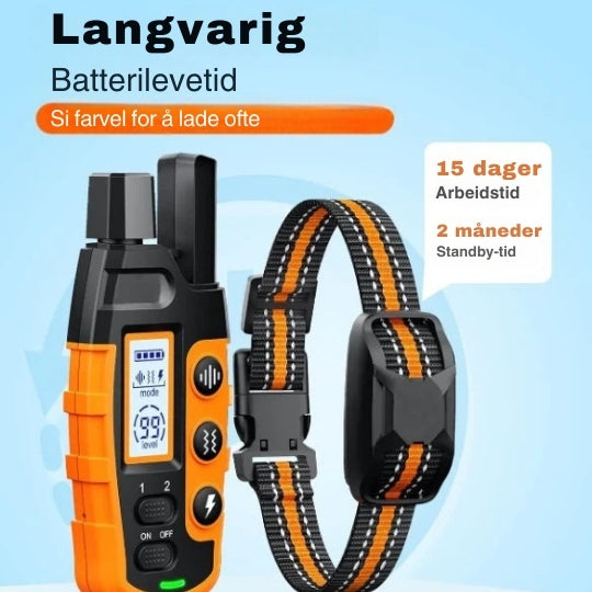 Fjernstyrt Dressurhalsbånd med Lång Rekkevidde - Justerbar