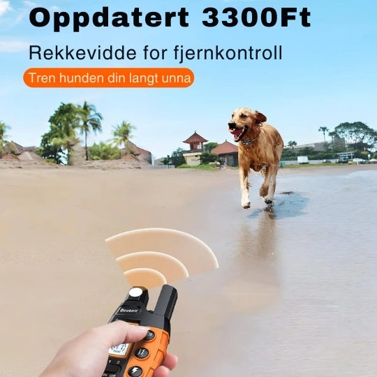 Fjernstyrt Dressurhalsbånd med Lång Rekkevidde - Justerbar