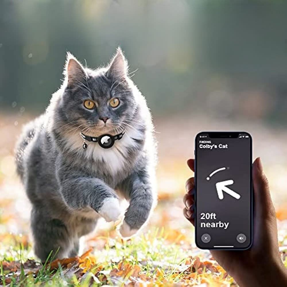 Katt Halsbånd med GPS Sporing och Refleks, Justerbart