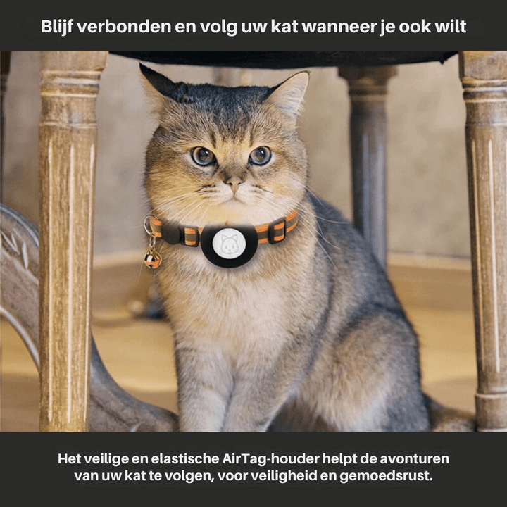 Katt Halsbånd med GPS Sporing och Refleks, Justerbart