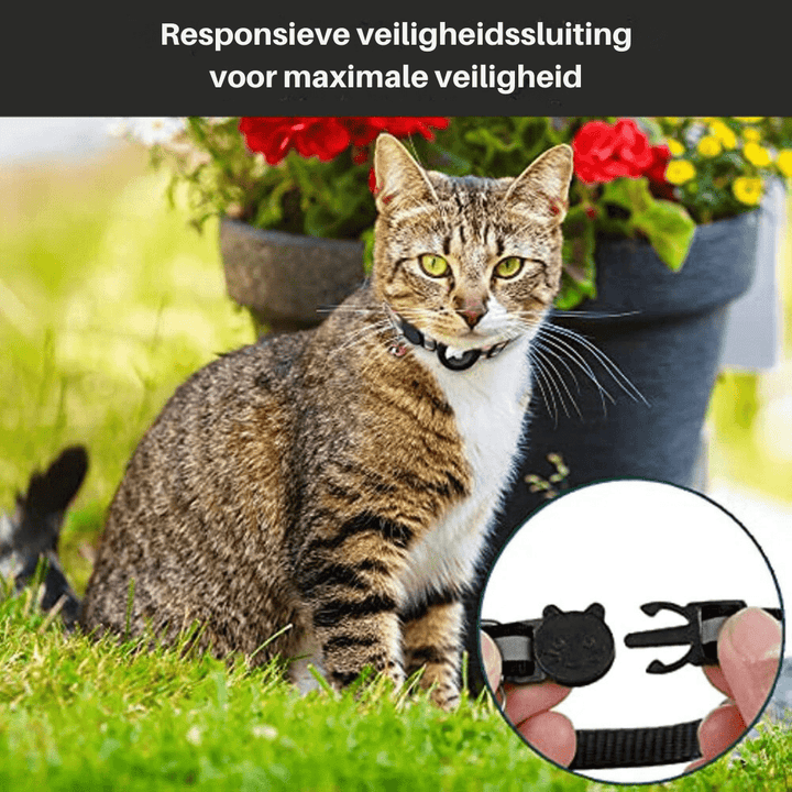 Katt Halsbånd med GPS Sporing och Refleks, Justerbart
