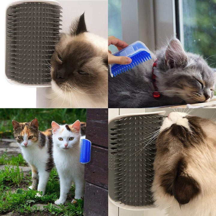 Kattens Massasje Börste - Ger Komfort och Selvpleie
