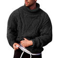 Herresweater med Rullekrave och Kabelstrik