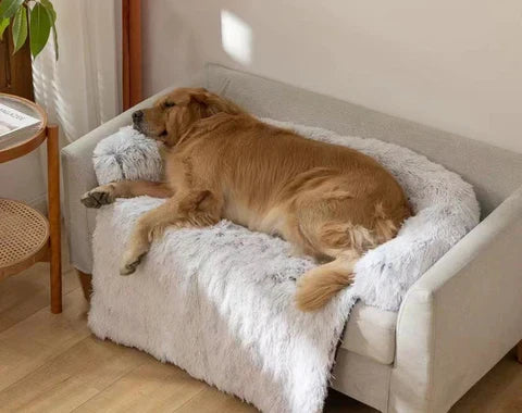 Mysig Lugnande Sofatrekk för Hund och Katt