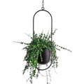 Minimalistisk Veggmontert Planteholder