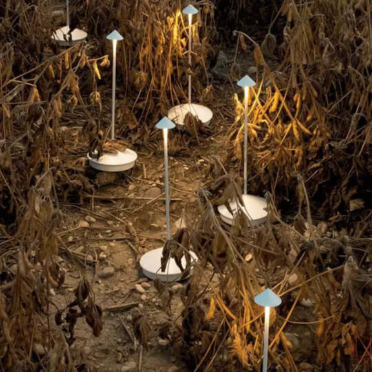 Modern Trådlös LED Bordslampa