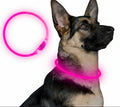 Hunde LED Halsbånd med USB-Laddning för Ökt Synlighet