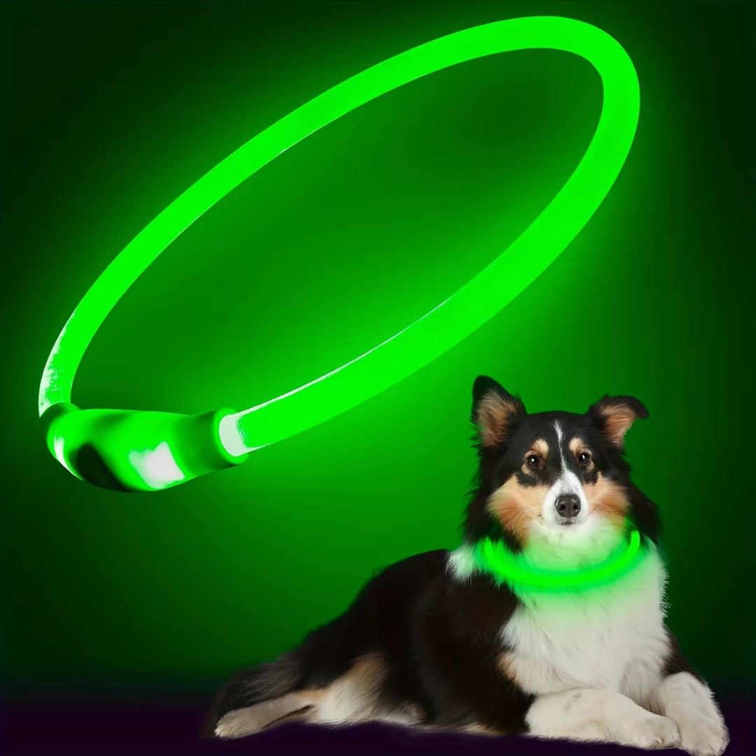 Hunde LED Halsbånd med USB-Laddning för Ökt Synlighet