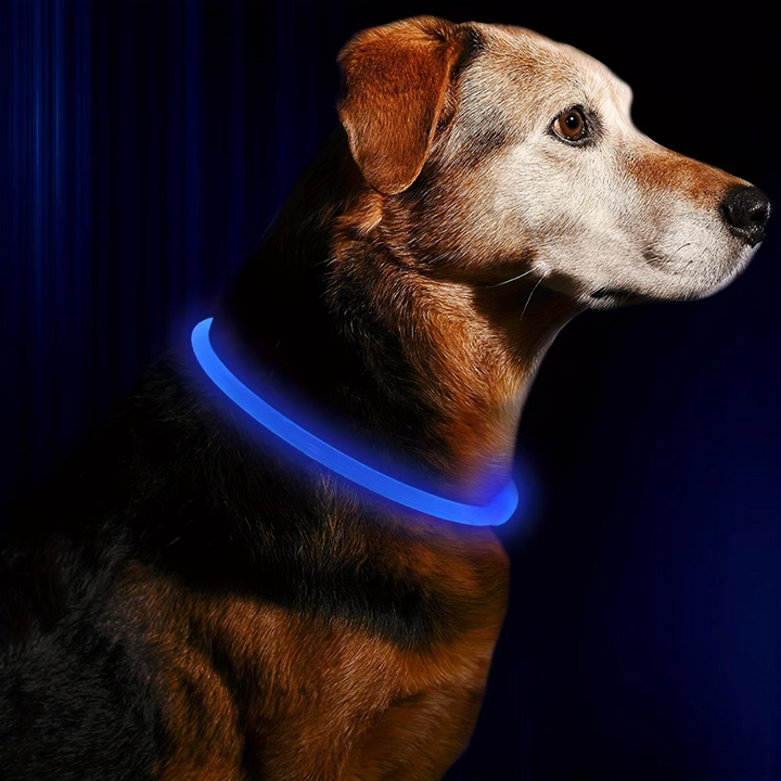 Hunde LED Halsbånd med USB-Laddning för Ökt Synlighet