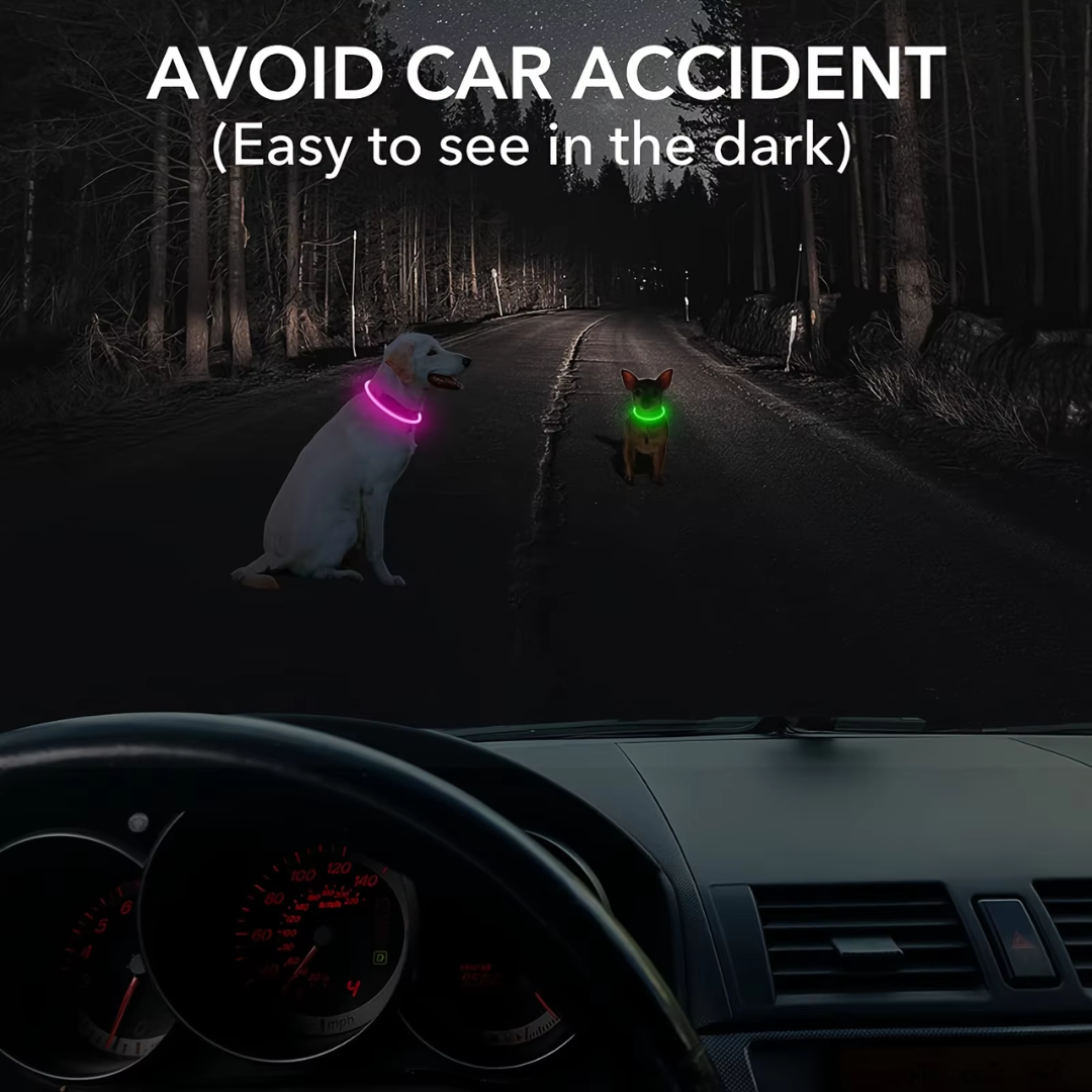 Hunde LED Halsbånd med USB-Laddning för Ökt Synlighet