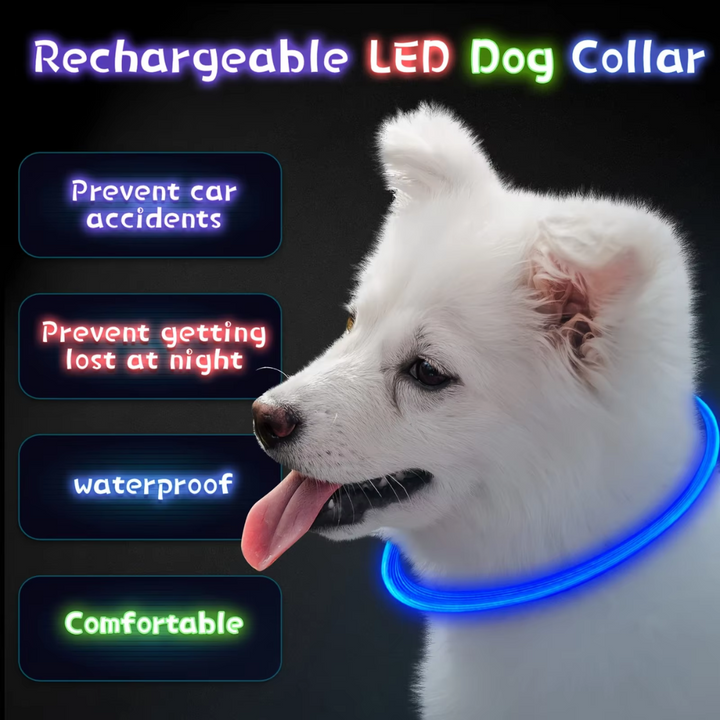 Hunde LED Halsbånd med USB-Laddning för Ökt Synlighet