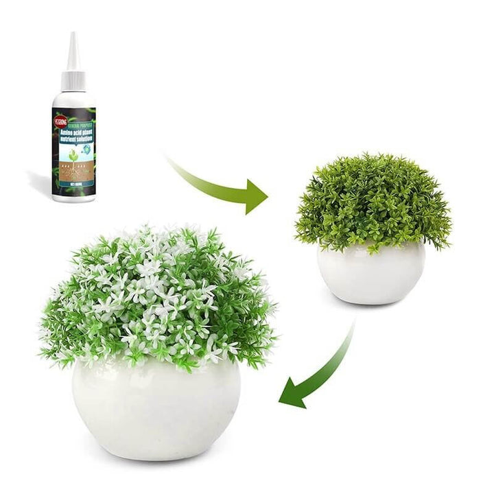 Plantenäring för Sunn Vekst och Frodig Blomstring