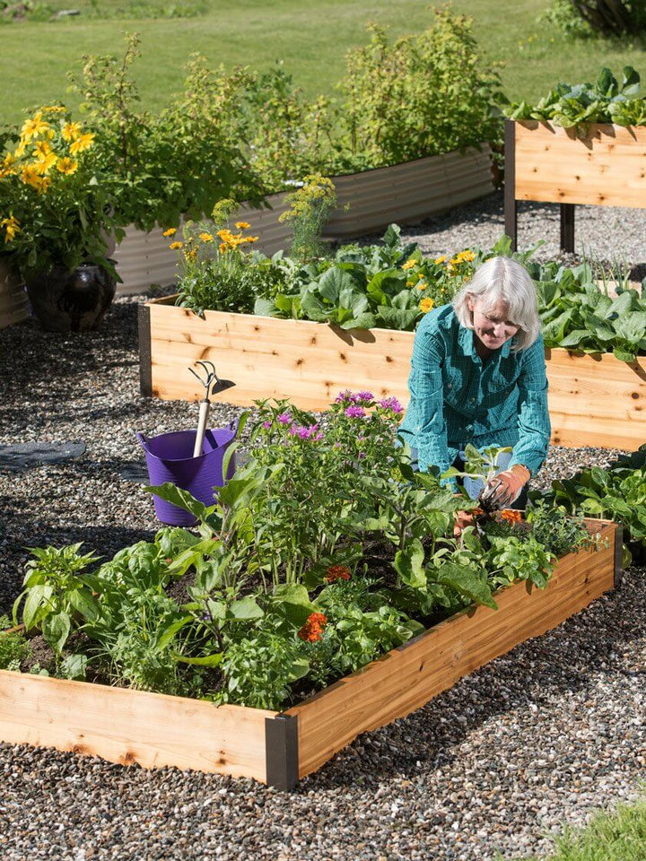 Plantenäring för Sunn Vekst och Frodig Blomstring