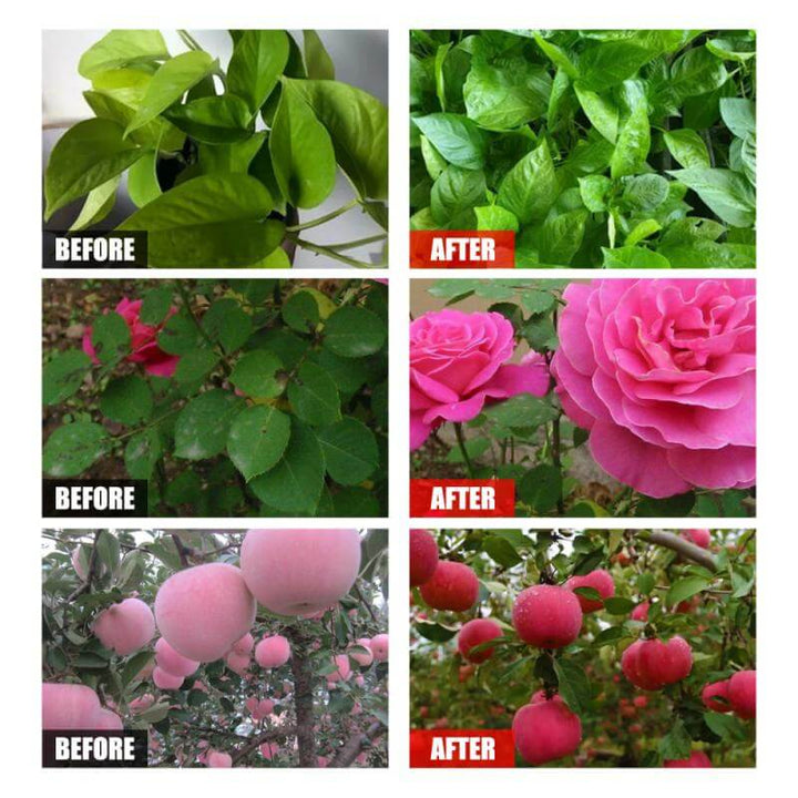 Plantenäring för Sunn Vekst och Frodig Blomstring