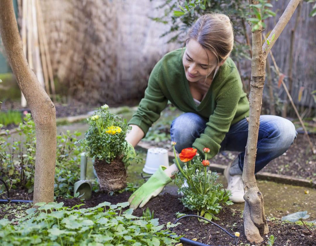 Plantenäring för Sunn Vekst och Frodig Blomstring