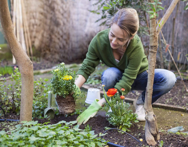 Plantenäring för Sunn Vekst och Frodig Blomstring