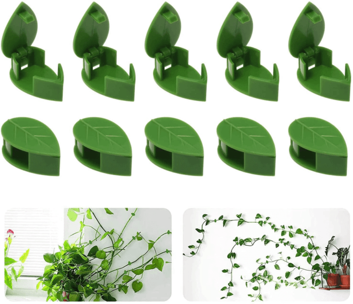 Plantestötteklips för Klatreplanter – Organiser Veggene Enkelt