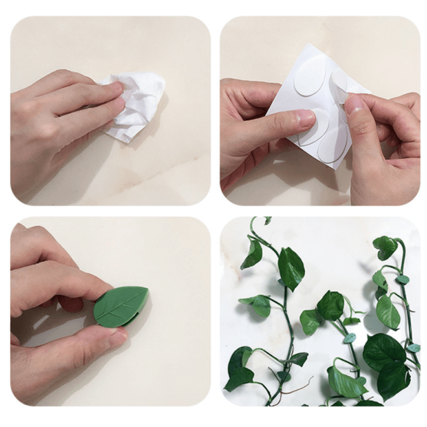 Plantestötteklips för Klatreplanter – Organiser Veggene Enkelt