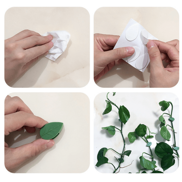 Plantestötteklips för Klatreplanter – Organiser Veggene Enkelt