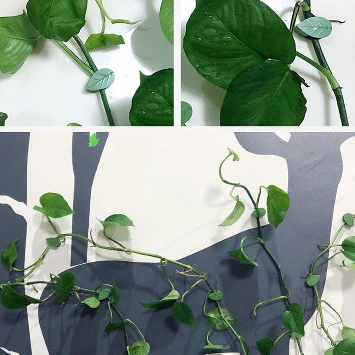 Plantestötteklips för Klatreplanter – Organiser Veggene Enkelt