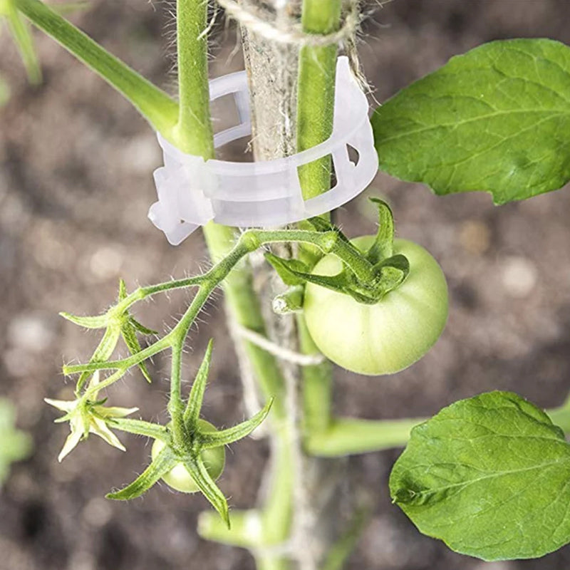 Plantestötteklips - Slitstarka Klämmor för Planter