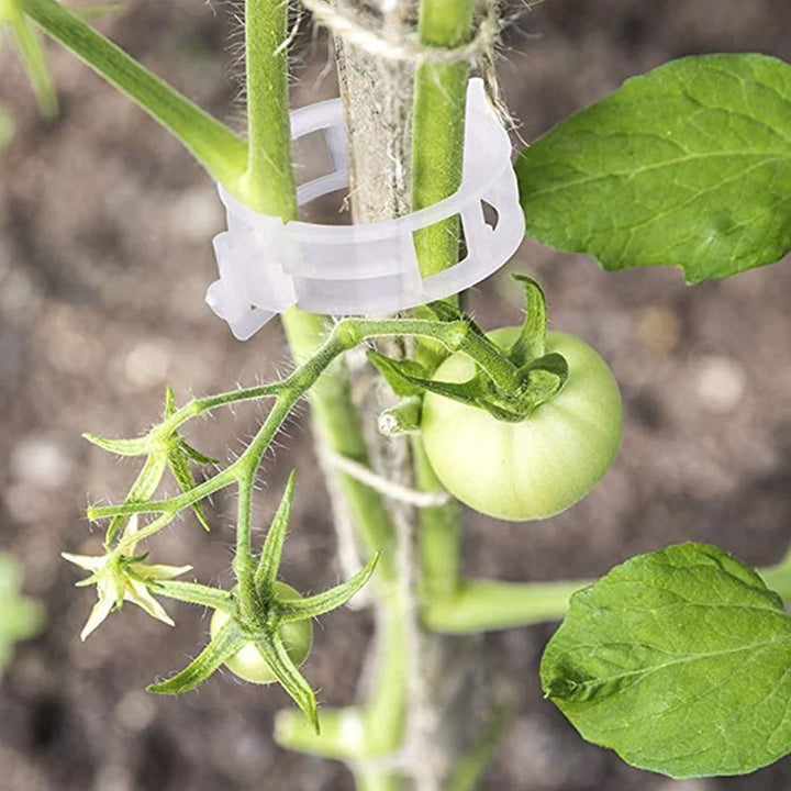 Plantestötteklips - Slitstarka Klämmor för Planter