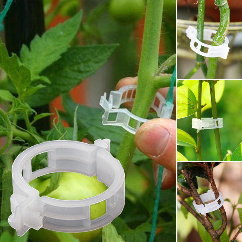 Plantestötteklips - Slitstarka Klämmor för Planter
