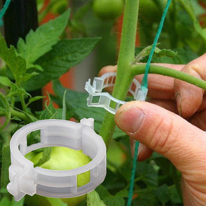 Plantestötteklips - Slitstarka Klämmor för Planter