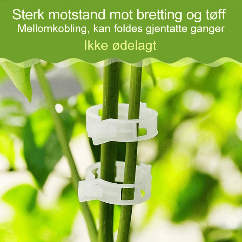 Plantestötteklips - Slitstarka Klämmor för Planter