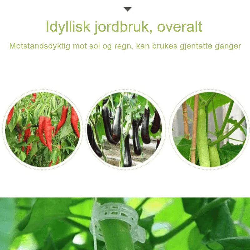 Plantestötteklips - Slitstarka Klämmor för Planter