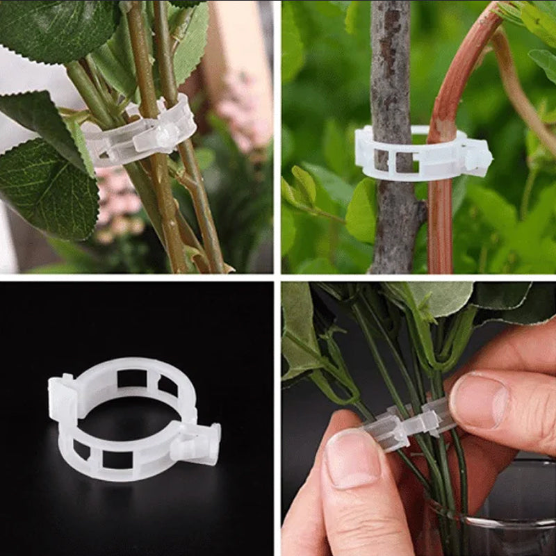 Plantestötteklips - Slitstarka Klämmor för Planter